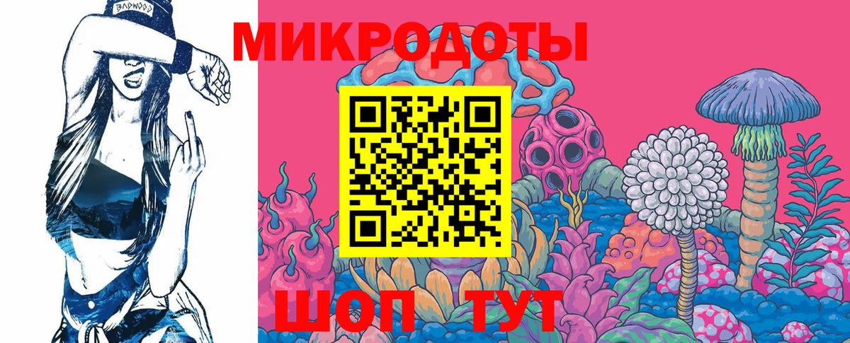 Галлюциногенные грибы мицелий Большой Камень