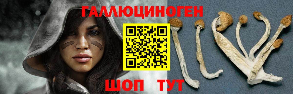 Большой Камень  Галлюциногенные грибы прущие грибы  Галлюциногенные грибы Cubensis  Вход с VPN 